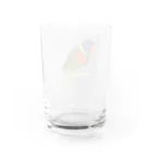 まめるりはことりの色合いが綺麗なゴシキセイガイインコちゃん【まめるりはことり】 Water Glass :back