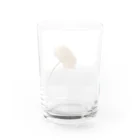 花と緑のラナンキュラス Water Glass :back