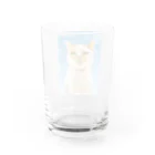 千葉太郎の三毛猫☆長老 Water Glass :back