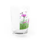 miyupo15のこすもす。秋桜。コスモス。 Water Glass :back