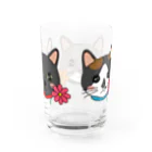 photo-kiokuのコスモスを付けている猫【かりん＆まろん＆じげん】 グラス反対面