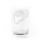 segasworksのスミロドン（頭の骨） Water Glass :back