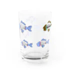 けけけの魚のホッネ Water Glass :back