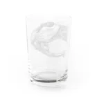 segasworksのCastoroides ohioensis Water Glass :back