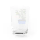 tomidoronの白バラ Water Glass :back