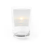 botanical museumの夕陽 Water Glass :back