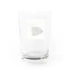 よく寝る甲斐犬のころころ Water Glass :back