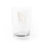 猫ねこネコ!チャム&シロのチャム Water Glass :back