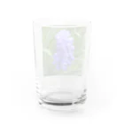 でおきしりぼ子の実験室のMuscari botryoides(1:1) Water Glass :back