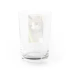むむ😸🍈(mumu)グッズの茶白猫むむ グラス反対面