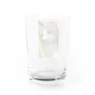 むむ😸🍈(mumu)グッズの茶白猫むむ Water Glass :back