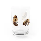 といろ雑貨店のごろごろねこグラス Water Glass :back