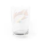 Coshi-Mild-Wildのアピストグラマ・カカトゥオイデス‼️ Water Glass :back