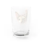 小鳥と映画館の三毛猫様 (水彩色鉛筆画) Water Glass :back