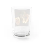 ズンドコベロンチョのピーマンの肉詰めのやつ Water Glass :back