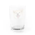 しば犬まる子とぽちのみせの柴犬のまるちゃん Water Glass :back