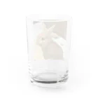 yoshiokasatomiのわらびもち君 Water Glass :back