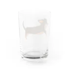 BlumeBellのチワックス・チョコタン Water Glass :back