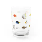 Astrio SUZURI店のお魚いっぱい集合 Water Glass :back