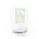 stone stoneの緑のパキラ Water Glass :back
