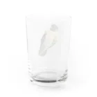 私による私のためのグッズ屋さんのころころトトちゃん Water Glass :back