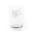 ねこがいるからがんばれる！のまんぷくちゃん Water Glass :back