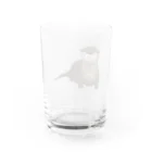 ひはせのふわふわコツメカワウソ Water Glass :back