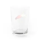 棘のハタタテハゼ Water Glass :back