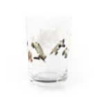 ごまわさびの銀子お嬢 Water Glass :back