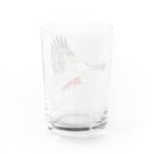 Coshi-Mild-Wildのミサゴ 🦅でっす‼️ Water Glass :back