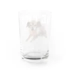 みんなのべぬち学園のゆるやかないぬち学園 Water Glass :back