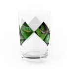 直翅類.jpのORTHOPTERA Water Glass :back
