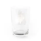 アラスカ野生動物画家きむらけいのF​o​r​e​s​t​ ​o​f​ ​K​a​s​i​l​o​f  Water Glass :back