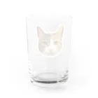 猫カフェ ぶぅたんグッズショップの絵文字トコちゃん Water Glass :back