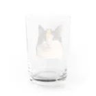 コンドーショップのシャトーブリアン猫 Water Glass :back