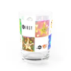 IOST_Supporter_CharityのIOST【ロゴ+如月スター】 Water Glass :back