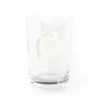 海中のMiyakocat Water Glass :back