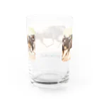 paweyetailのヌーい… ドン！ Water Glass :back