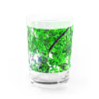 fée de la roseのVert frais Water Glass :back