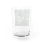 aomatuのハオルチア　オブツーサ系4「ドドソン紫オブツーサ」 Water Glass :back