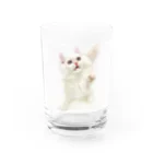 Milkoftheguineapigの白猫 Water Glass :front