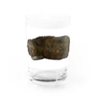 キジトラかもしれないのおねむ猫 Water Glass :front