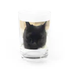 ニャンコの秘密基地のみみちゃん Water Glass :front