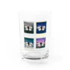 SUNOMONOの記憶標本 Water Glass :front