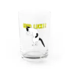 小鳥と映画館のグッドラックな猫 Water Glass :front