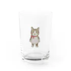 KOBEアニマルレスキューPinkyの保護っ子きゅうたの赤いリボン Water Glass :front