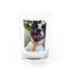 buhibuhi🐶のゆず Water Glass :front