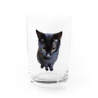 黒猫Onlyの黒猫2 Water Glass :front