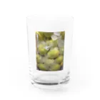 NNHNのoishikuna~re umeshu Water Glass :front