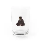 ⌁の千利休 猫 Water Glass :front